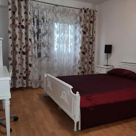 Adi's Appart-hotel 康斯坦察